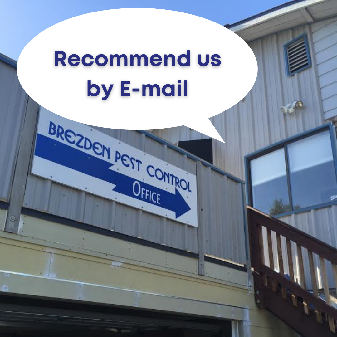 Email Best Pest Control San Luis Obispo Png